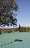Туры в отель voco Kirkton Park Hunter Valley  by IHG