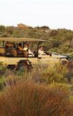 Туры в отель Bushmans Kloof Wilderness Reserve
