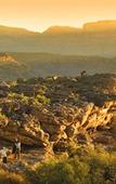 Туры в отель Bushmans Kloof Wilderness Reserve
