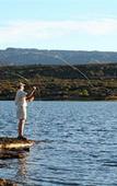 Туры в отель Bushmans Kloof Wilderness Reserve