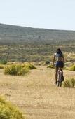 Туры в отель Bushmans Kloof Wilderness Reserve