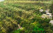 Туры в отель Great trails yercaud by GRT Hotels