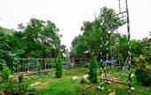 Туры в отель Great trails yercaud by GRT Hotels