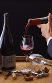 Туры в отель ANA Crowne Plaza Okayama by IHG