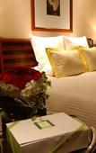 Туры в отель ANA Crowne Plaza Okayama by IHG