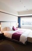 Туры в отель ANA Crowne Plaza Okayama by IHG