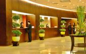Туры в отель Jianguo Garden Hotel