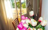 Туры в отель Lungomare Hotel