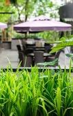 Туры в отель The Greenery Resort Khao Yai
