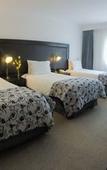 Туры в отель Lagos Del Calafate