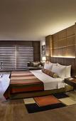 Туры в отель The LaLiT Chandigarh