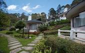 Туры в отель Imperial Phukaew Hill Resort