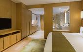 Туры в отель Holiday Inn NANJING QINHUAI SOUTH SUITES by IHG