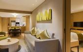 Туры в отель Holiday Inn NANJING QINHUAI SOUTH SUITES by IHG