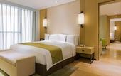 Туры в отель Holiday Inn NANJING QINHUAI SOUTH SUITES by IHG