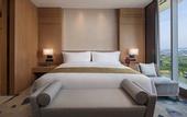 Туры в отель Holiday Inn NANJING QINHUAI SOUTH SUITES by IHG