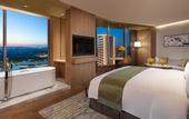 Туры в отель Holiday Inn NANJING QINHUAI SOUTH SUITES by IHG
