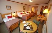 Туры в отель Abba Presidente Suites Puerto Montt