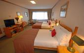 Туры в отель Abba Presidente Suites Puerto Montt
