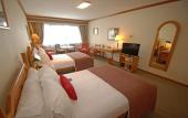 Туры в отель Abba Presidente Suites Puerto Montt