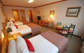 Туры в отель Abba Presidente Suites Puerto Montt