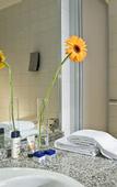 Туры в отель Congress Hotel Weimar by Mercure