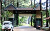 Туры в отель HARRIS Hotel Sentul City Bogor