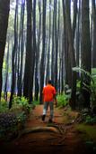 Туры в отель HARRIS Hotel Sentul City Bogor