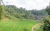 Туры в отель Hotel Santika Tasikmalaya