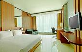 Туры в отель Hotel Santika Tasikmalaya
