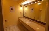 Туры в отель Comfort Inn & Suites River City Decatur