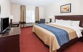 Туры в отель Comfort Inn & Suites River City Decatur