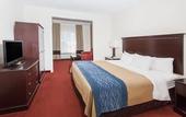 Туры в отель Comfort Inn & Suites River City Decatur