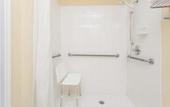 Туры в отель Comfort Inn & Suites River City Decatur