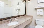 Туры в отель Comfort Inn & Suites River City Decatur