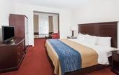 Туры в отель Comfort Inn & Suites River City Decatur