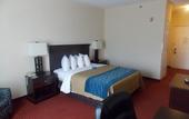 Туры в отель Comfort Inn & Suites River City Decatur