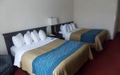 Туры в отель Comfort Inn & Suites River City Decatur