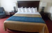 Туры в отель Comfort Inn & Suites River City Decatur