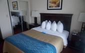 Туры в отель Comfort Inn & Suites River City Decatur