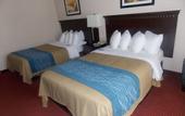 Туры в отель Comfort Inn & Suites River City Decatur