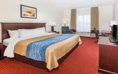 Туры в отель Comfort Inn & Suites River City Decatur
