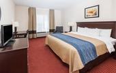 Туры в отель Comfort Inn & Suites River City Decatur