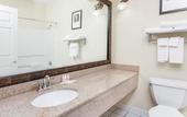 Туры в отель Comfort Inn & Suites River City Decatur