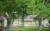 Туры в отель Hotel Maria de la Luz