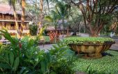 Туры в отель The Lodge At Uxmal