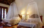 Туры в отель The Lodge At Uxmal