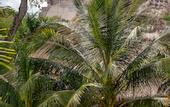 Туры в отель The Lodge At Uxmal
