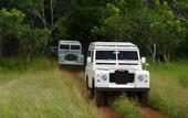 Туры в отель The Lodge At Uxmal