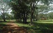 Туры в отель The Lodge At Uxmal